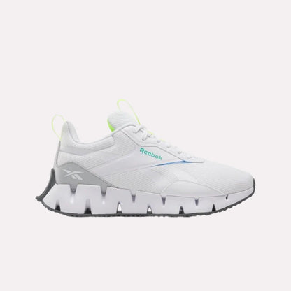Zig Dynamica STR Men's Shoes