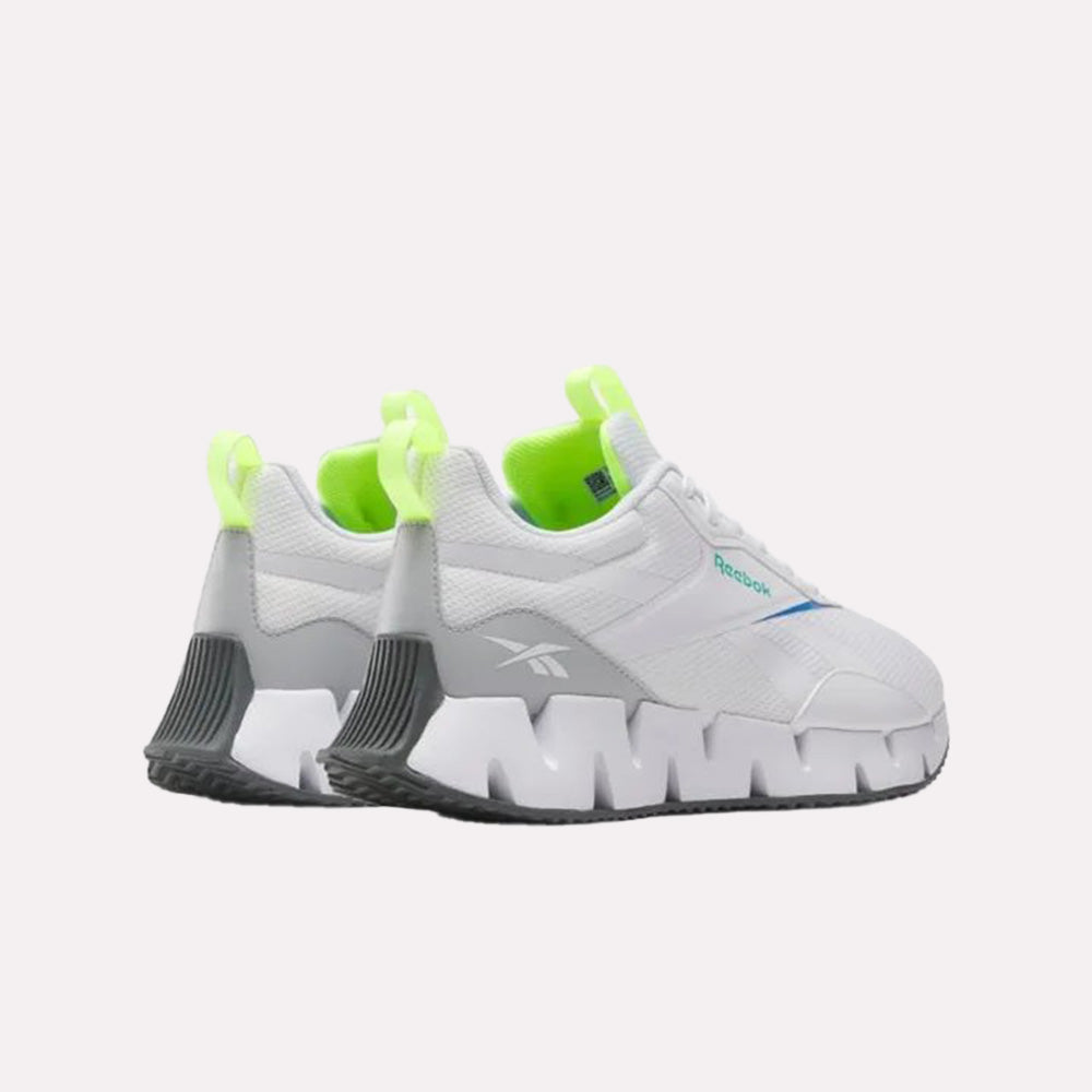 Zig Dynamica STR Men's Shoes